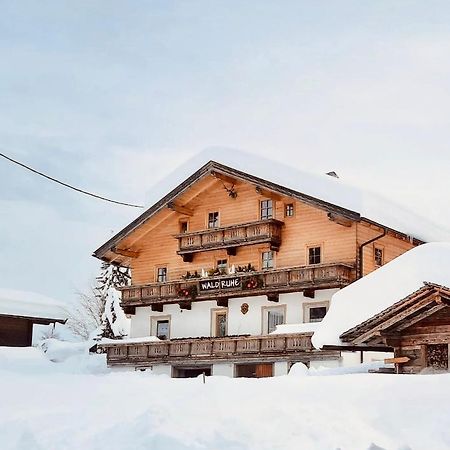 Waldruhe Appartements Sankt Jakob in Defereggen Zewnętrze zdjęcie